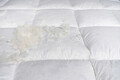 Saltea Royal Nest