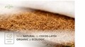 Saltea Nature Pocket Bamboo Memory Evolution